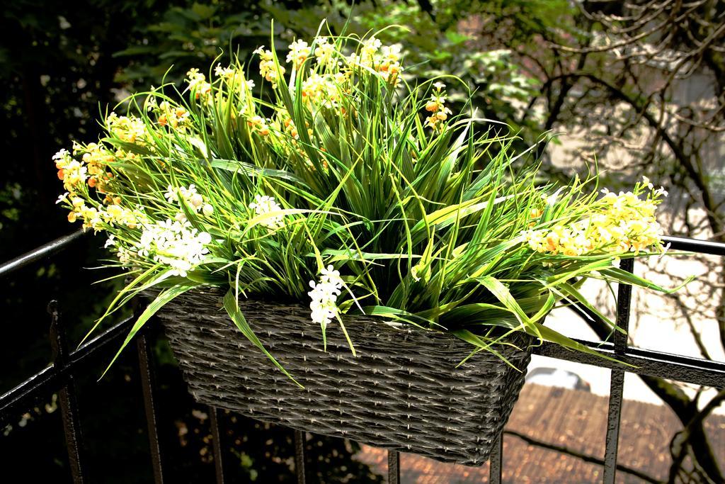 Flowers City Center Apartments Záhřeb Pokoj fotografie